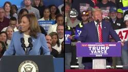 The Breakdown | Marital rape in India + Swing state battle explained Instructional Video