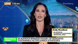 BlackRock's Woodland on Top Investible ESG Themes News Clip