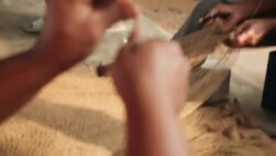 Fishermen repairing oil-stained nets in Maracaibo oil basin News Clip