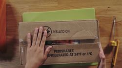 Temperatures Instructional Video