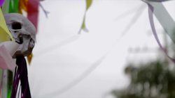 Mardi Gras: The Colorful Celebration of New Orleans Instructional Video