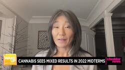 Discussing the Cannabis Industry in Wake of the Midterms With Leafly CEO Yoko Miyashita News Clip