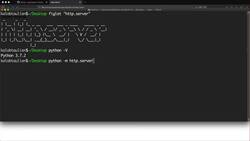 Python for Everybody: The Ultimate Python 3 Bootcamp - Local Server Instructional Video