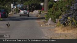 Drought-stricken B.C. residents stressed by another potential water crisis News Clip