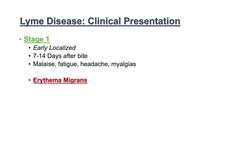 Lyme Disease | Pathophysiology, Signs, and Treatment Instructional Video