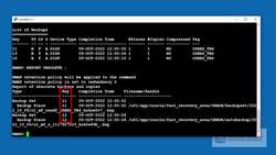 Oracle Database Administration from Zero to Hero - Practice - Configuring RMAN Persistent Settings Instructional Video