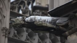 Germany, Cologne, Cathedral - gargoiles Stock Footage