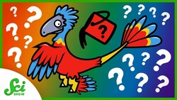 Paleontology's Technicolor Moment Instructional Video