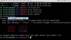 Complete Git Guide: Understand and Master Git and GitHub - Third Commit Instructional Video