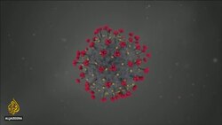 Global race to find coronavirus vaccine News Clip