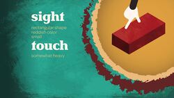 Observing in Science Instructional Video