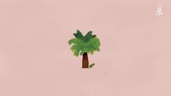 The Last of Its Kind, The Story of Encephalartos Woodii Instructional Video