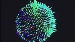 Helping Quantum Computers Study the Physics of the Universe Instructional Video