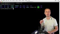 The Complete Practical Docker Guide - Redirecting STDOUT and STDERR to the File Instructional Video