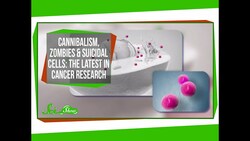 Cannibalism, Zombies & Suicidal Cells: The Latest In Cancer Research Instructional Video