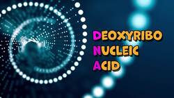 I WONDER - What Job Does DNA Do? Instructional Video