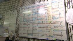 Wildlife agency desperate to expand to better help injured animals News Clip