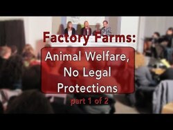 The Legal Void: Animal Welfare on Factory Farms and the Absence of Protections Instructional Video