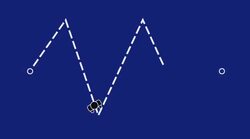 Animal Obstacle Course Instructional Video