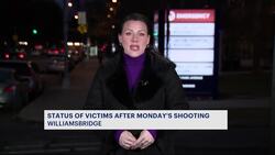 Williamsbridge shooting victims' family speaks out News Clip