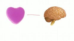 Contrasting Themes Instructional Video