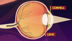 Boddities | Episode 12 | The eclipse is coming, keep your eyes safe Instructional Video