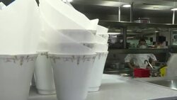 CLEAN : Disabled worker in Ritz's kitchens as part of French 'DuoDay' initiative News Clip