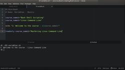 Bash Shell Scripting - Using Variables - Basics Instructional Video