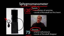 AP Biology Lab 10: Physiology of the Circulatory System Instructional Video