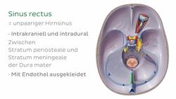 Sinus rectus Instructional Video