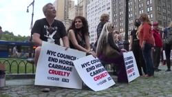 CLEAN : End of the road for New York's horse-drawn carriages? News Clip