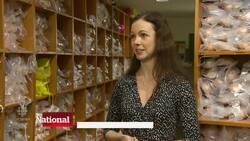 Plans for Canada's 150th birthday News Clip