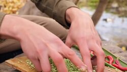 Fishing and cooking fish in the wild Instructional Video