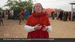 Struggle for survival in drought-ravaged Somalia News Clip