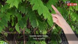 QUESTO, QUESTA, QUELLO, QUELLA... How to Say This and That in Italian Instructional Video