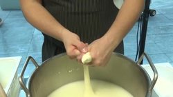 CLEAN : Expanded UN geographical trademarks to take effect News Clip