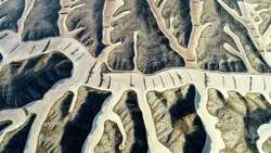 Britannica Insights: The Threat of Biodiversity Loss Instructional Video