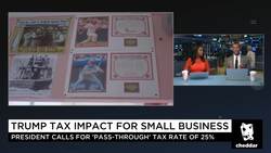 Robert Herjavec of "Shark Tank" Says He Likes Trump's Tax Plan News Clip