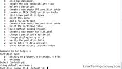 Linux Administration Bootcamp: Go from Beginner to Advanced - Disk Management - Part 2 - Creating Partitions with the fdisk Command Instructional Video