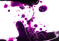 Phospholipid Instructional Video