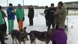 Youth in Inuvik, N.W.T. learn how to run sled dog teams News Clip