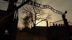 Survivors mark 75 years since liberation of Auschwitz News Clip