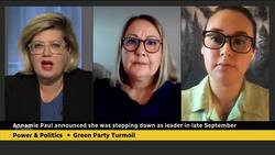 Email to Green Party members says 11 staff given temporary layoff notices News Clip