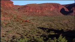 Tarantula World: How to Save Tarantulas from Humans Instructional Video