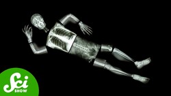 The Skeleton That Was 8 Different People Instructional Video