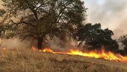 Blackouts begin as winds build in California Instructional Video