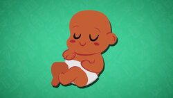 High Five Facts - Genetics Instructional Video