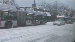 B.C.’s Lower Mainland at standstill after rare winter storm News Clip