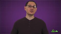 Snakes Use Their Spongy Mouths to Drink Instructional Video