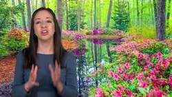 Ancient Greece: The Birthplace of Modern Society Instructional Video